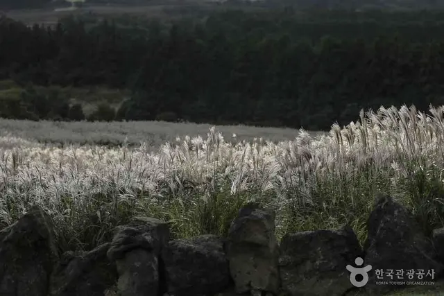 산굼부리 사진