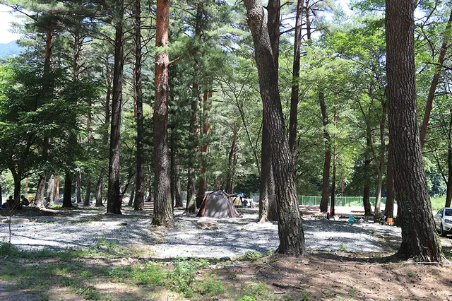오색솔밭야영장 사진