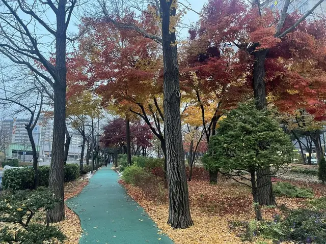 거리공원 사진