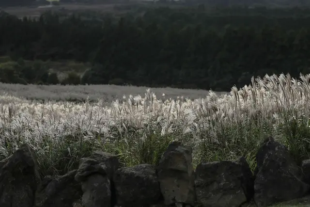 산굼부리 사진