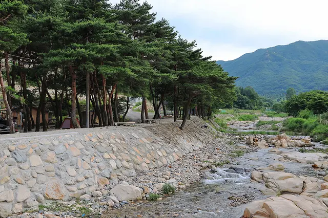 힐링캠프 사진