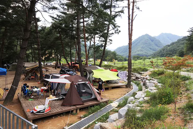 용오름캠핑장 사진