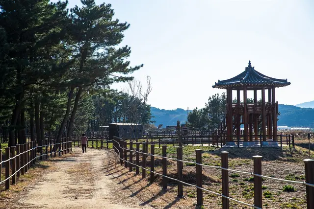 평해사구습지 생태공원 사진