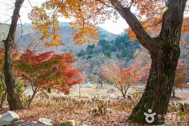 울산수목원 사진