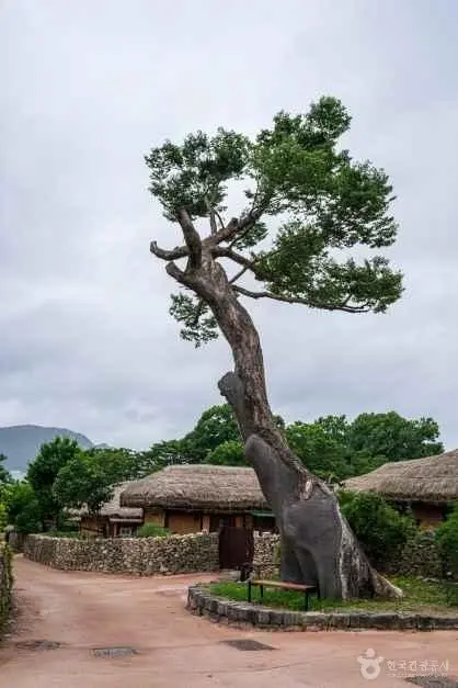 외암민속마을 사진