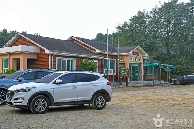 강릉 복사꽃마을 사진