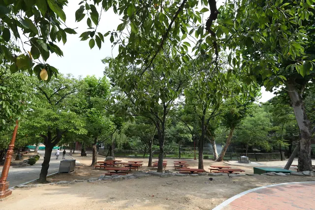 달성공원 사진