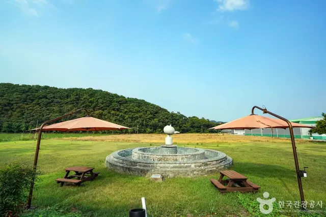 사천녹차단지 사진