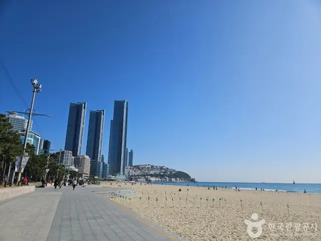 해운대해수욕장 사진