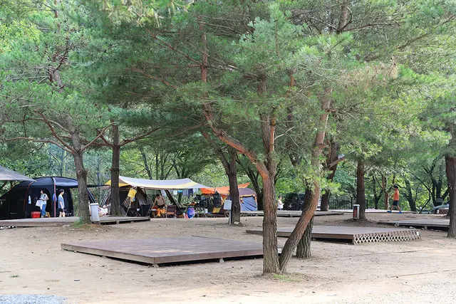 검산별빛캠핑장 사진