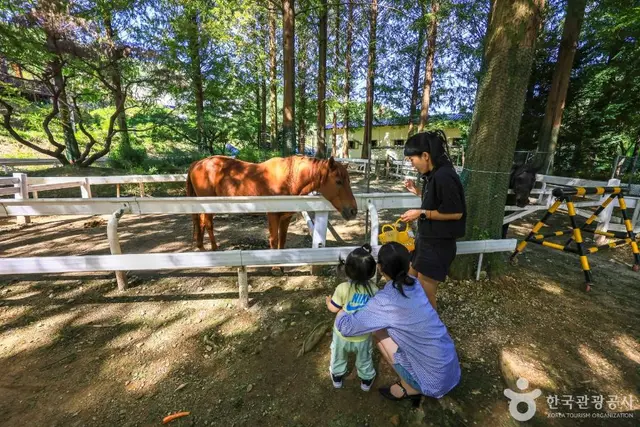 한터농원 사진