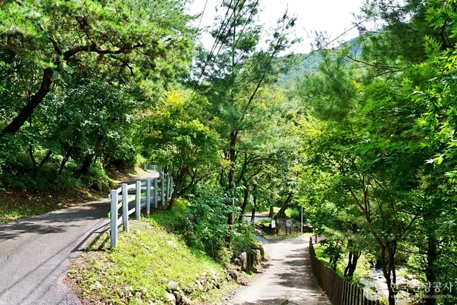 박달재자연휴양림 사진