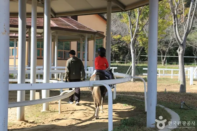 대가야기마문화체험장 사진