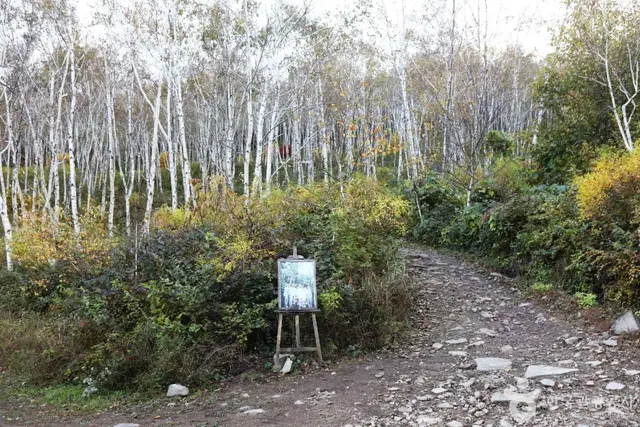 서후리숲 사진