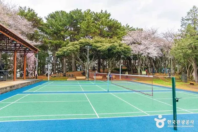 삼무공원 사진