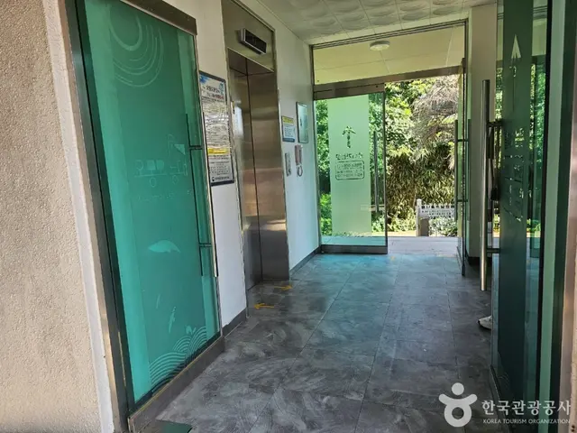 오동도 등대 사진