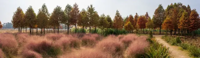 청산수목원 사진