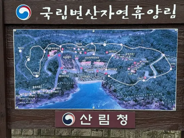 변산자연휴양림 사진