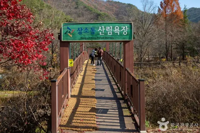상소동 산림욕장 사진
