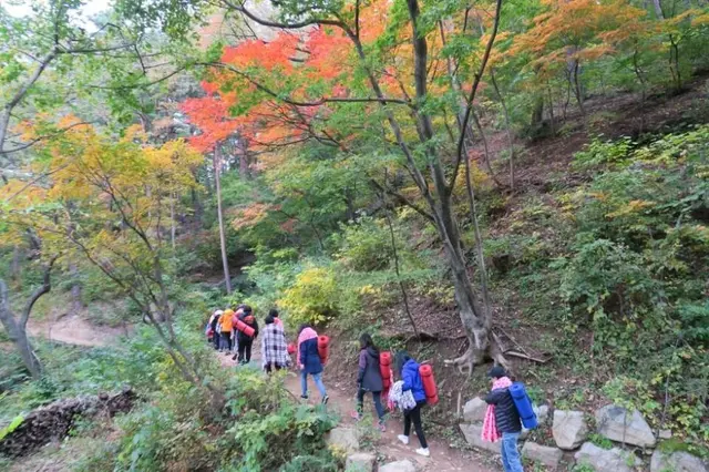 국립대관령치유의숲 사진