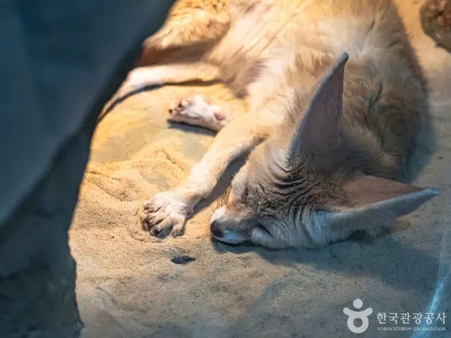 대구아쿠아리움 사진