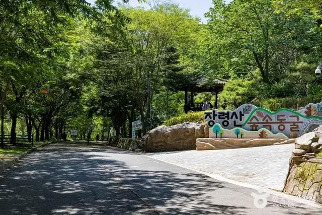 장령산자연휴양림 사진
