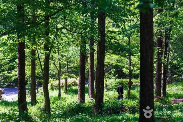 국립횡성숲체원 사진