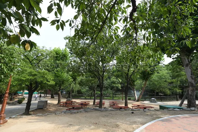달성공원 사진