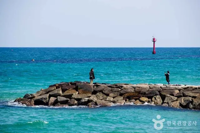 영진해변 사진