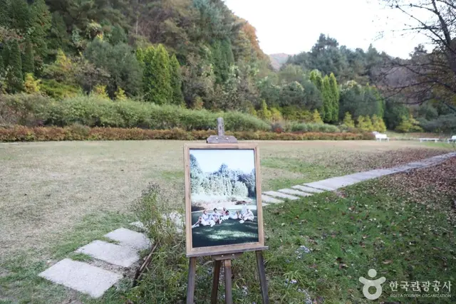 서후리숲 사진