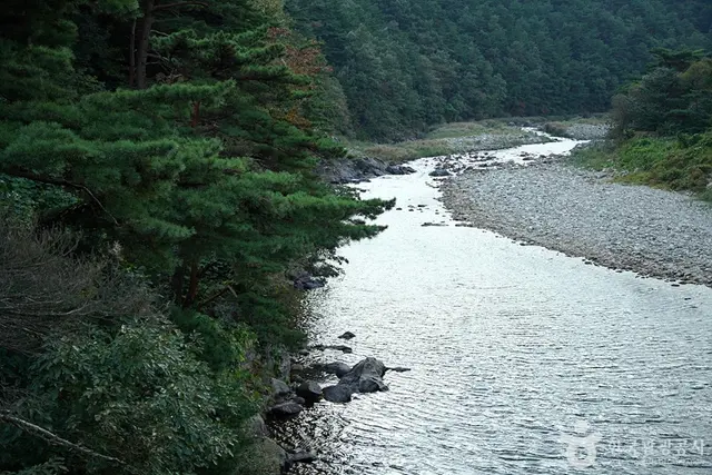 공수전계곡 사진