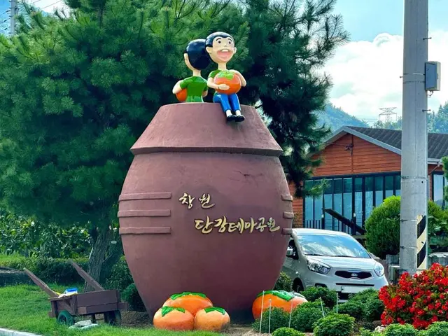 창원 단감테마공원 사진