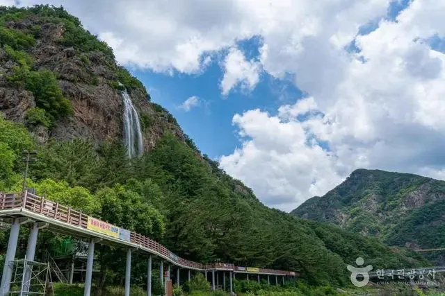 월영산 출렁다리 사진