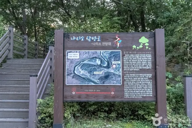 나리소전망대 사진