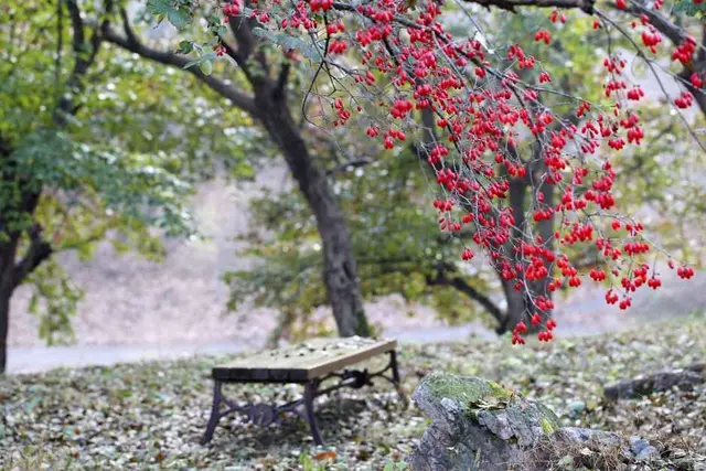 산수유사랑채 사진