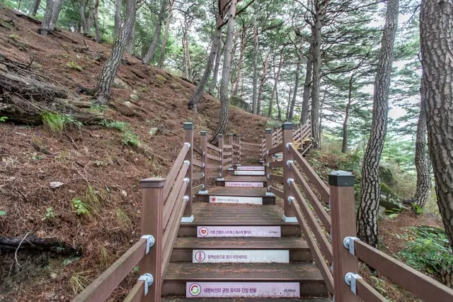 죽도정·죽도 전망대 사진