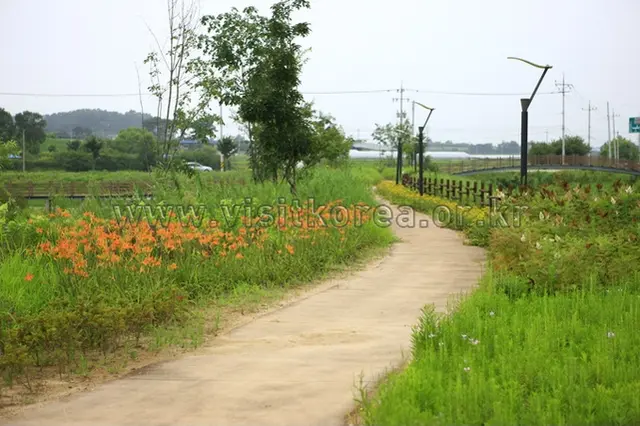 탑정호 수변생태공원 사진