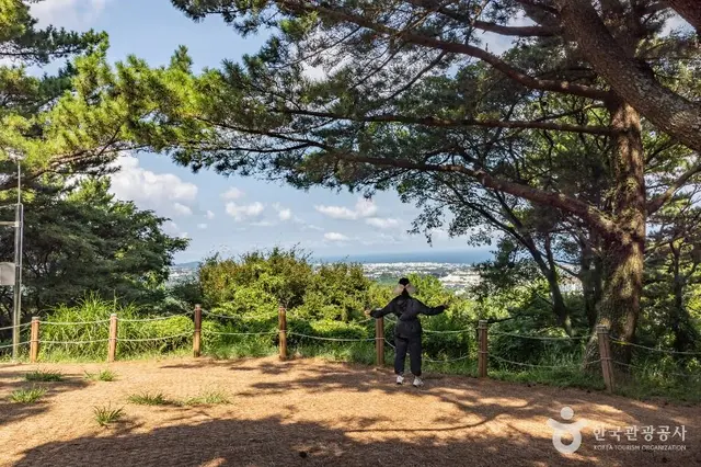한라수목원 사진
