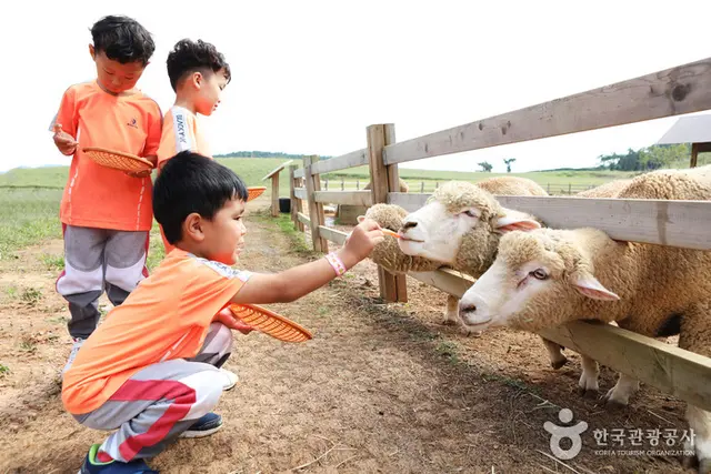상하농원 파머스빌리지 사진