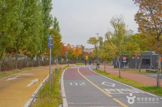난지한강공원 사진