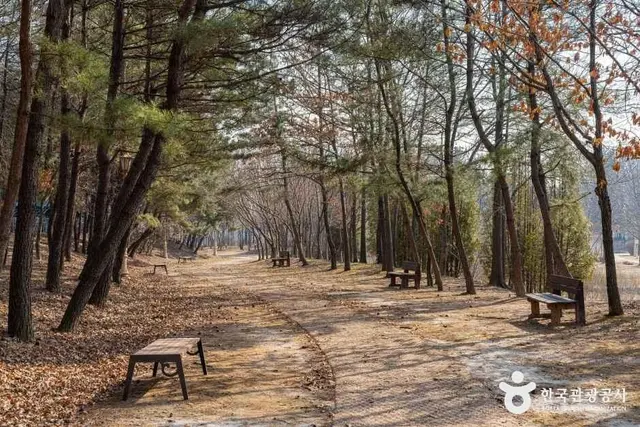 인천환경공단청라생태공원 사진