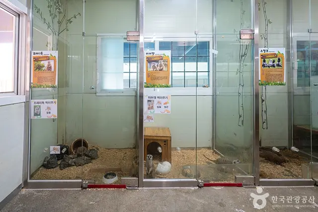 곤충테마여행 사진