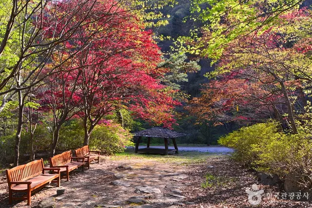 가마골 사진