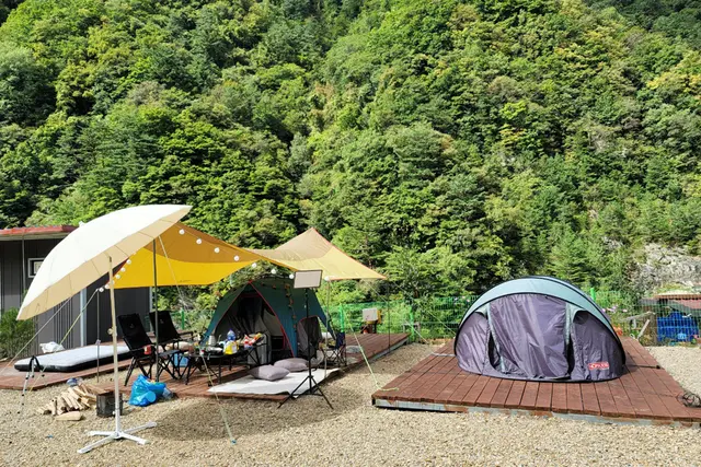 바람부리별밤캠핑장 관광농원 사진