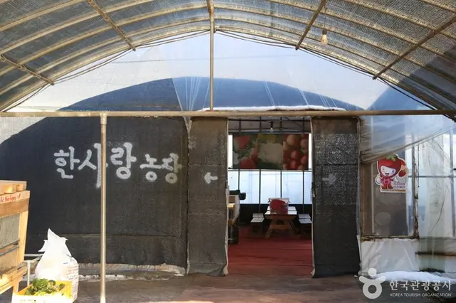 한사랑딸기체험농장 사진
