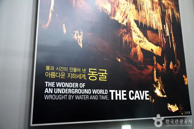 영월동굴생태관 사진