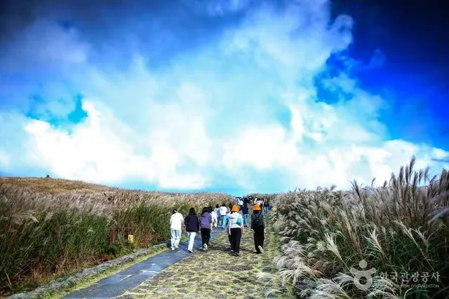 산굼부리 사진