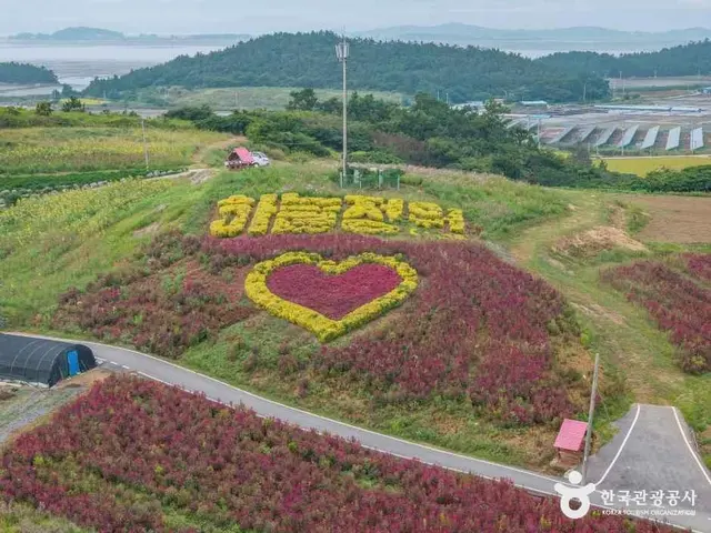 맨드라미정원 사진