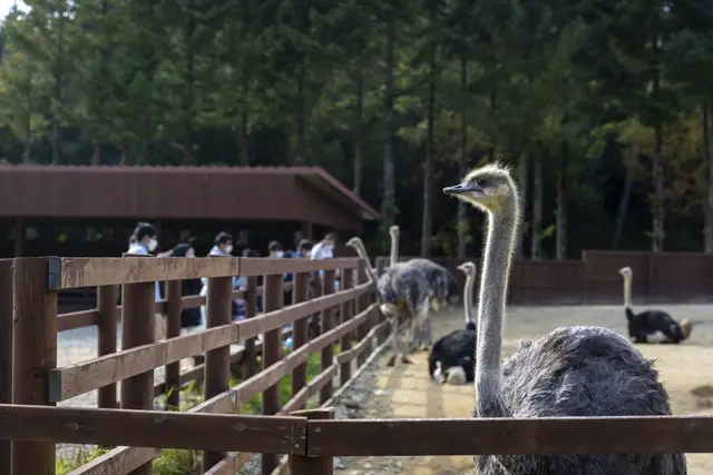 삼양라운드힐 사진