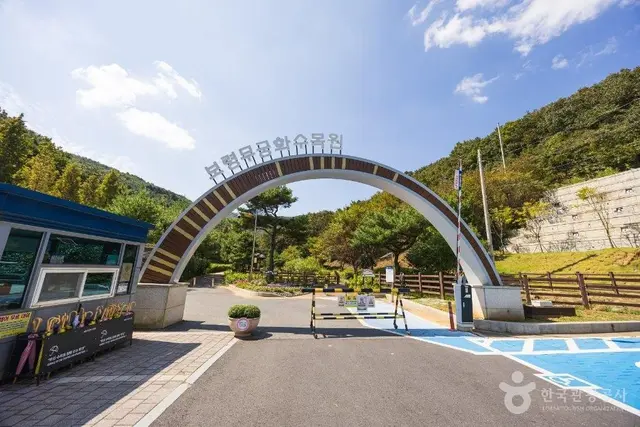 보령 무궁화수목원 사진